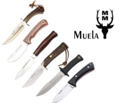 Muela