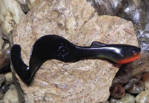 Orka 2011 ST-13