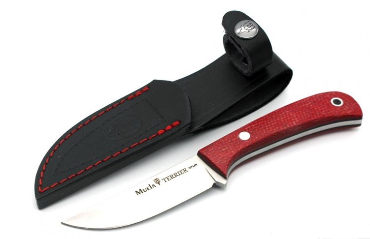 Noz Muela Terrier 9Y