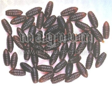 Vestacki mamci BE72102 crv siv
