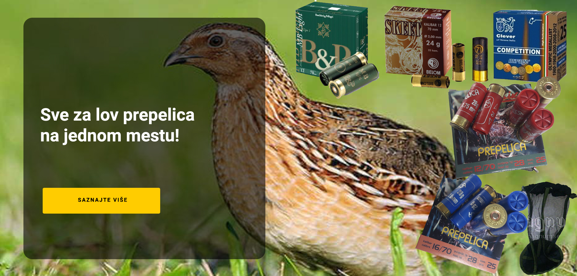Sve za lov prepelica